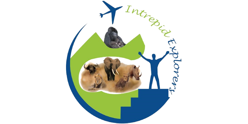 Intrepid Partner Logo