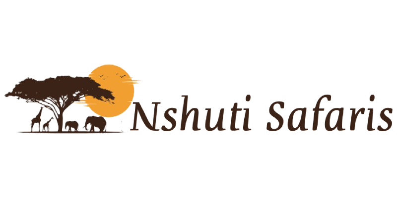 Nshuti Partner Logo
